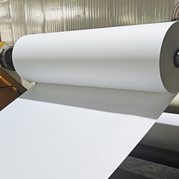تفتح PP Paper Synthetic Paper مستقبلًا جديدًا للتغليف والطباعة